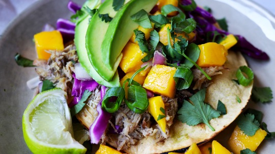 close-up of a plated kalua pork carnita topped with avocado purple cabbage and bright-yellow mango salsa